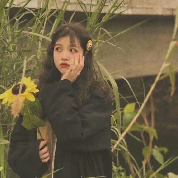 苍井优（饰 高荷惠） - 体育赛事直播在线观看 - 平板直播